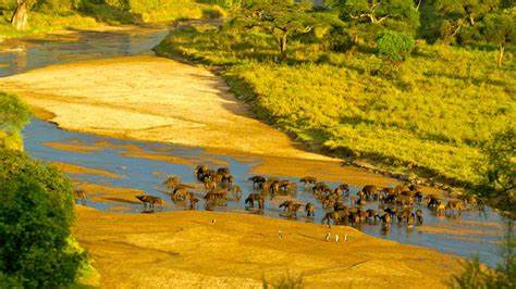 SPECIAL GRUMETI IN FLIGHT - private